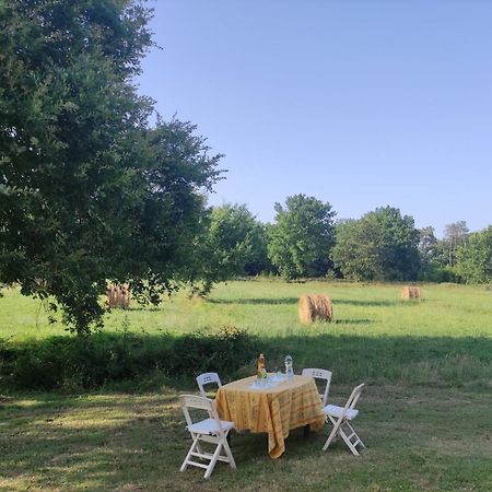 Appartamento Il Picchio Verde Altopascio Εξωτερικό φωτογραφία