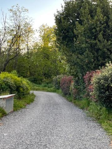 Appartamento Il Picchio Verde Altopascio Εξωτερικό φωτογραφία