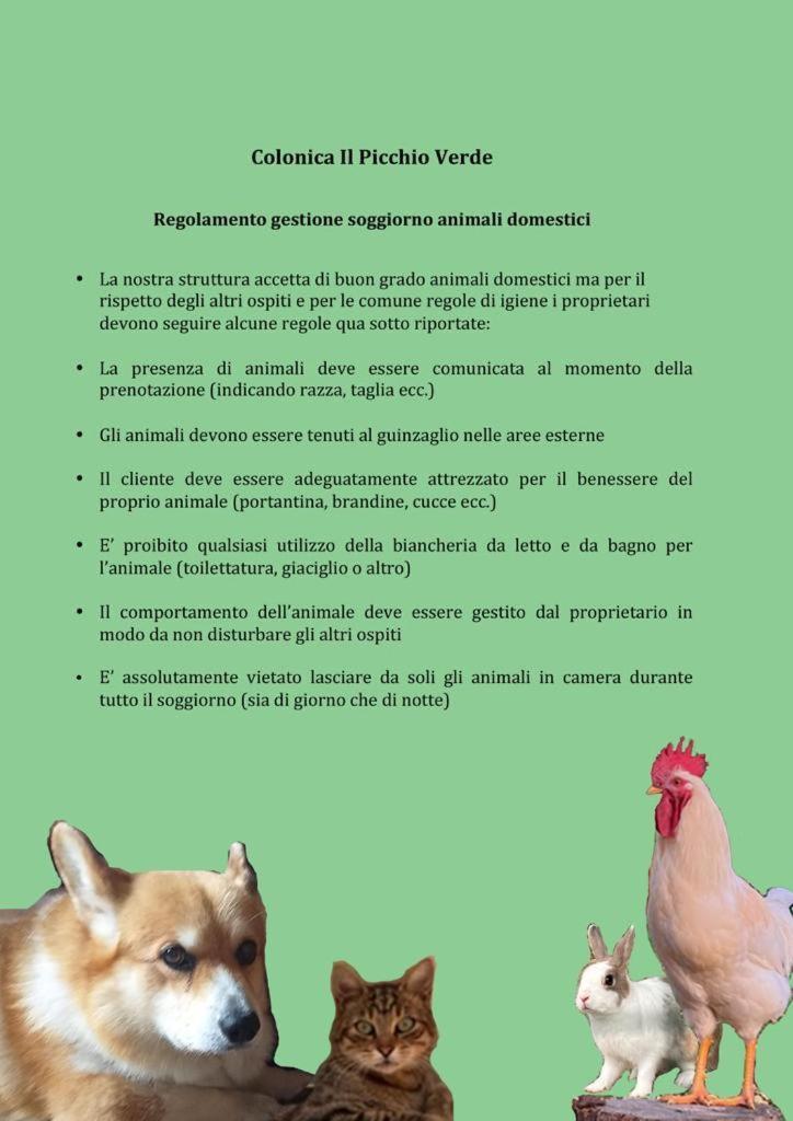 Appartamento Il Picchio Verde Altopascio Εξωτερικό φωτογραφία