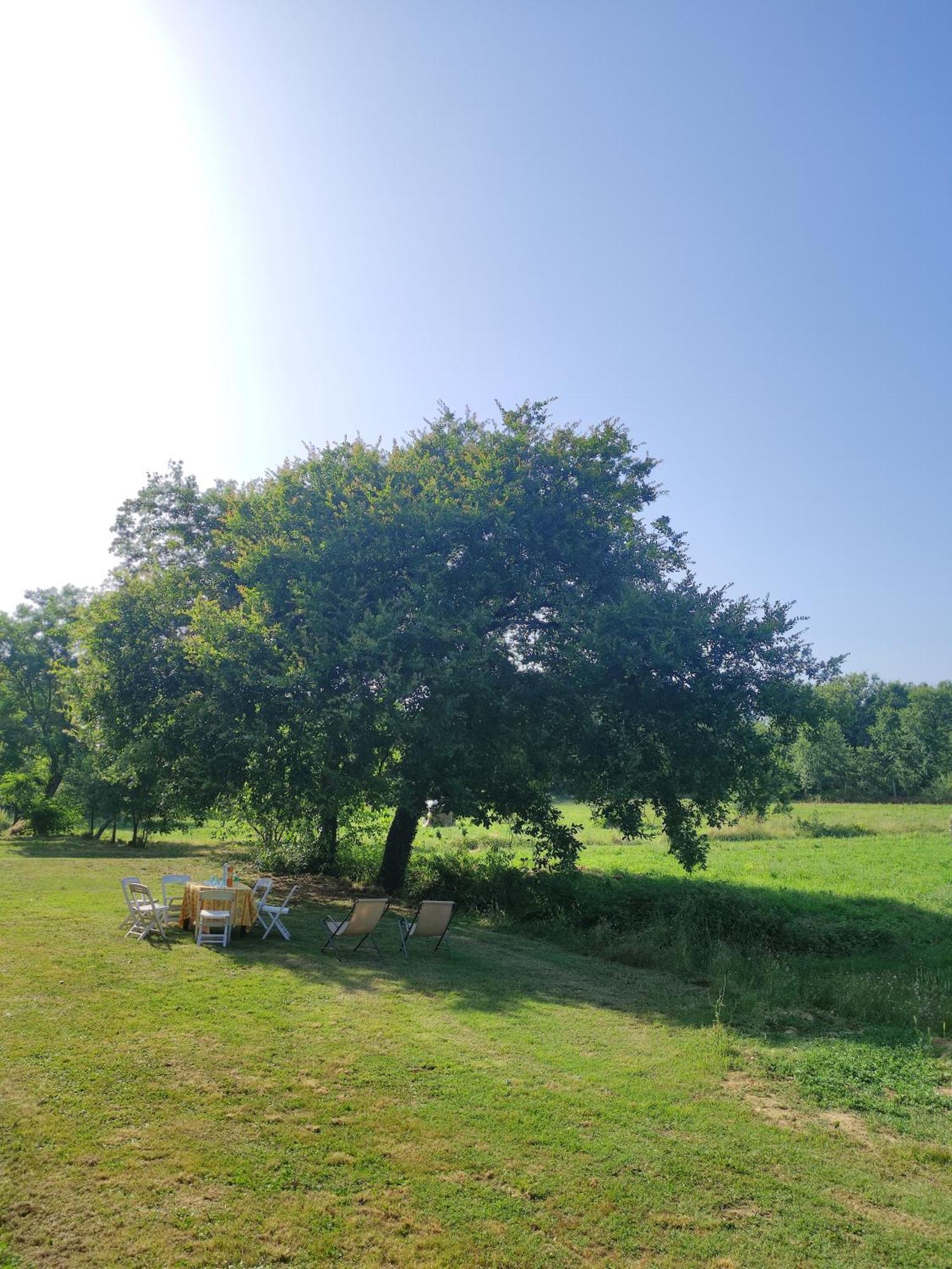 Appartamento Il Picchio Verde Altopascio Εξωτερικό φωτογραφία